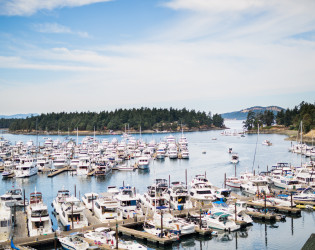 Roche Harbor Resort