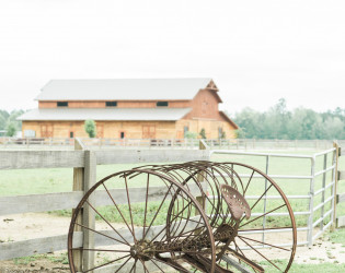 The Berry Barn