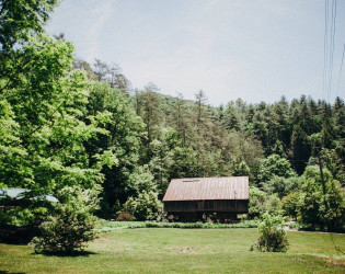 The Lily Barn