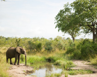 Singita Boulders Lodge