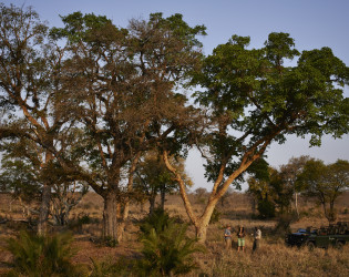 Singita Castleton