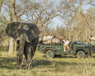 Singita Castleton