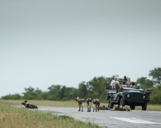 Singita Ebony Lodge