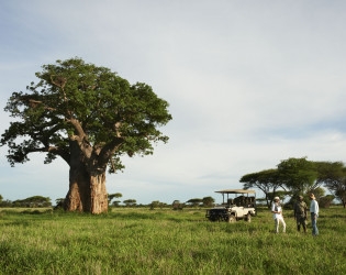 Singita Pamushana Lodge