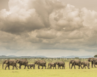 Singita Serengeti House