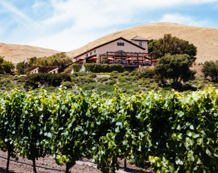 Gloria Ferrer Caves & Vineyards