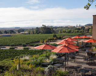 Gloria Ferrer Caves & Vineyards