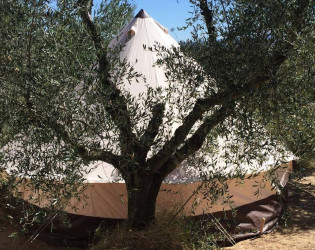 The Lazy Olive Glamping