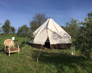 The Lazy Olive Glamping