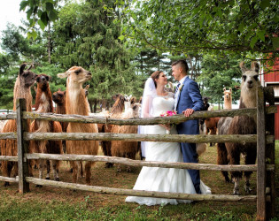 WoodsEdge Farm Weddings & Events