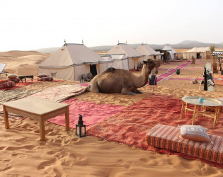 Desert Luxury Camp