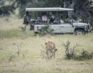 Singita Faru Faru Lodge