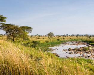 Singita Mara River Tented Camp