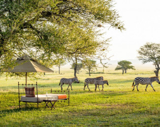 Singita Sabora Tented Camp