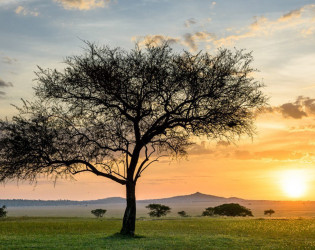 Singita Sabora Tented Camp