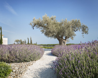 Amanzoe