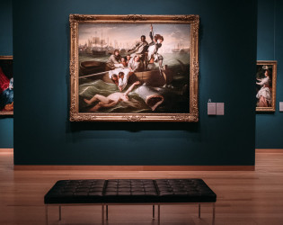 Museum of Fine Arts, Boston