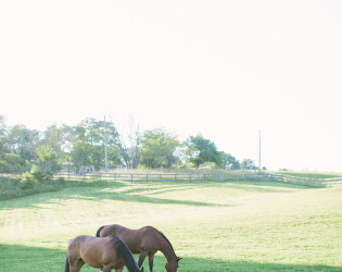 Tranquility Farm