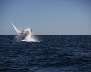 Sal Salis Ningaloo Reef