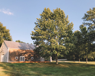 Cunningham Farm: Barns & Estate Venue