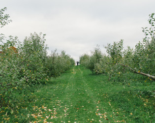 Quonquont Farm