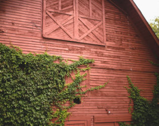 Quonquont Farm