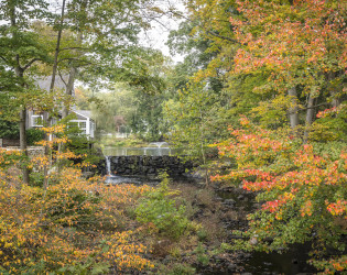 Graybarns on the Silvermine River