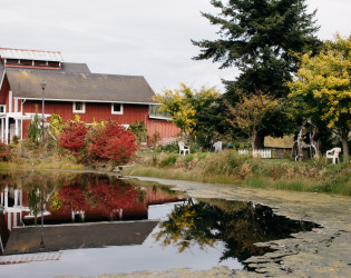 Greenbank Farm