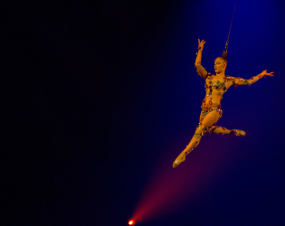 Cirque du Soleil LUZIA – Orlando