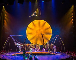 Cirque du Soleil LUZIA – Orlando