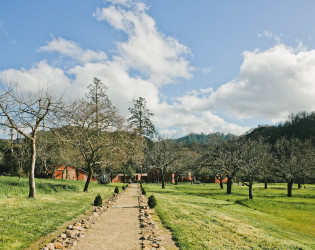 Triple S Ranch Napa