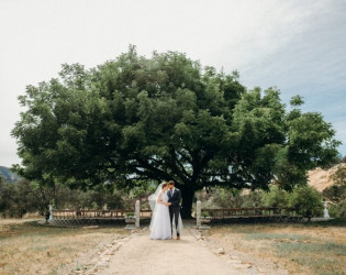 Triple S Ranch Napa