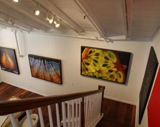 The La Jolla Gallery