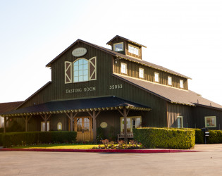 Ponte Winery & Vineyard Inn