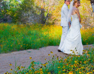 The Wildflower Barn