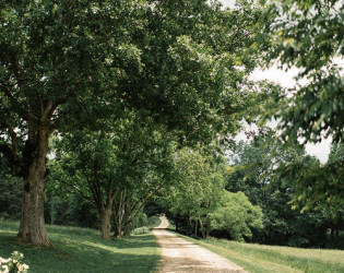 Sweet Meadow Farm and HomePlace