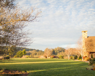 Devine Ranch