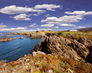 Sea Ranch Lodge