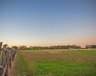 Rancho Pillow