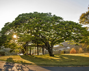 Botanique Hotel & Spa