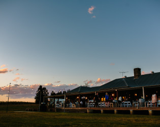 Hanging Tree Wines