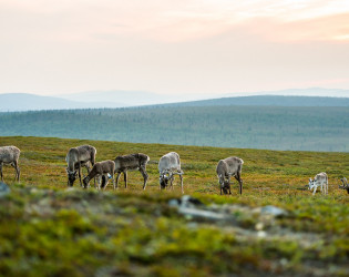 Kakslauttanen Arctic Resort