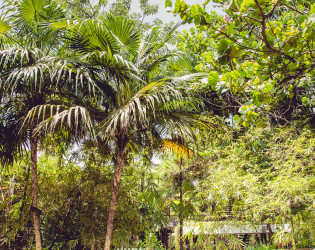 Casa Jaguar Tulum