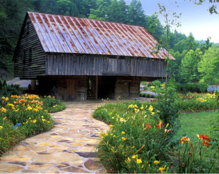 The Lily Barn