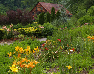 The Lily Barn