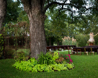 Pecan Springs Ranch