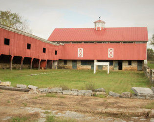 Wild Goose Farm