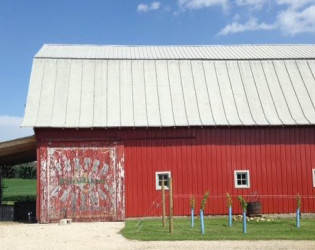 Vineyard at Porter Central