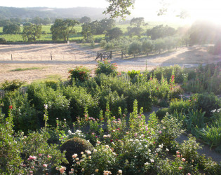 Beltane Ranch