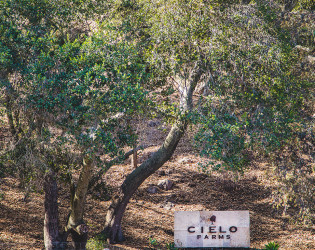 Cielo Farms